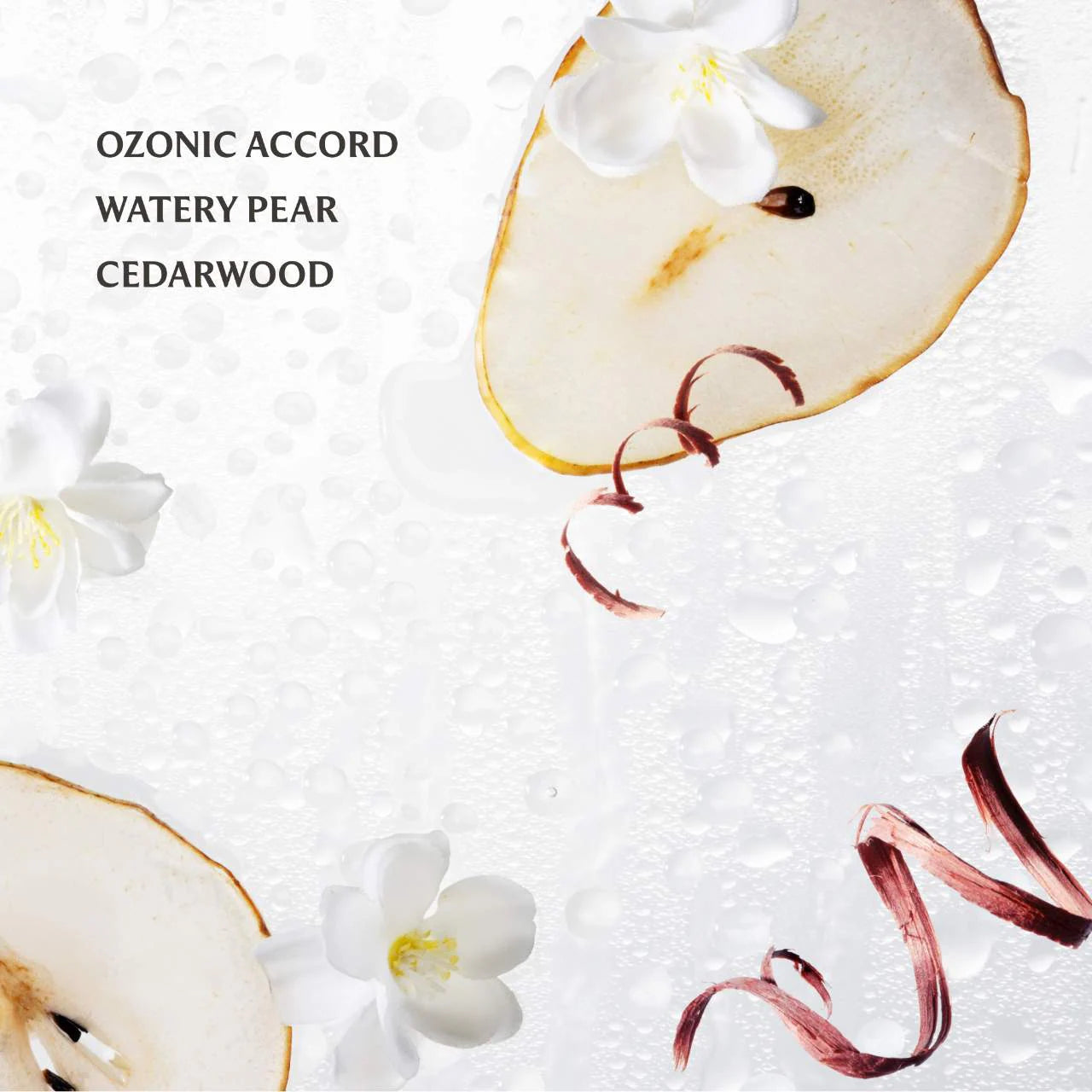 Touchland Power Mist Hydrating Hand Sanitizer Rainwater